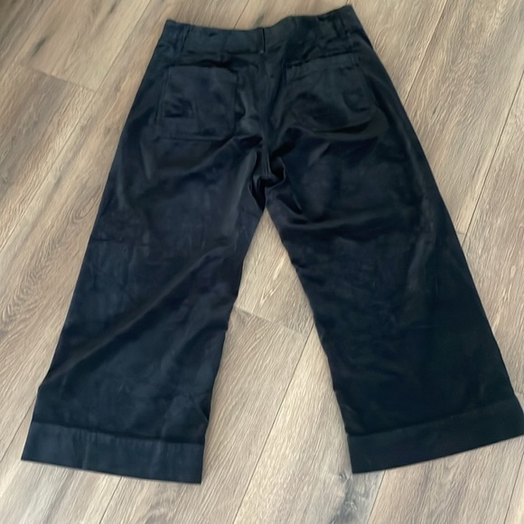 Maeve Anthropologie Collette Velvet Wide Leg Crop Pants - Picture 6 of 8